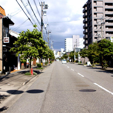 8月7日は花水木通り七夕祭