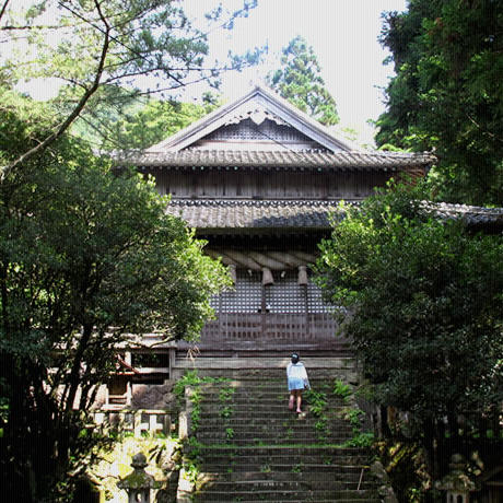 小松家の夏の旅