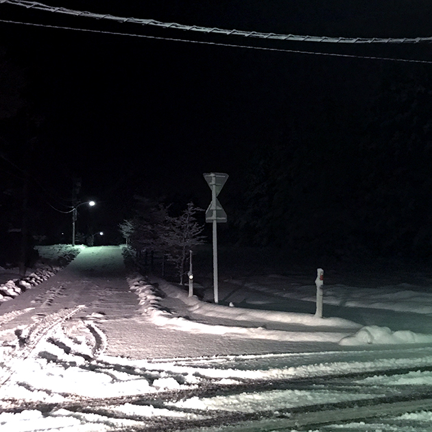 雪の量は平地と変わらない。