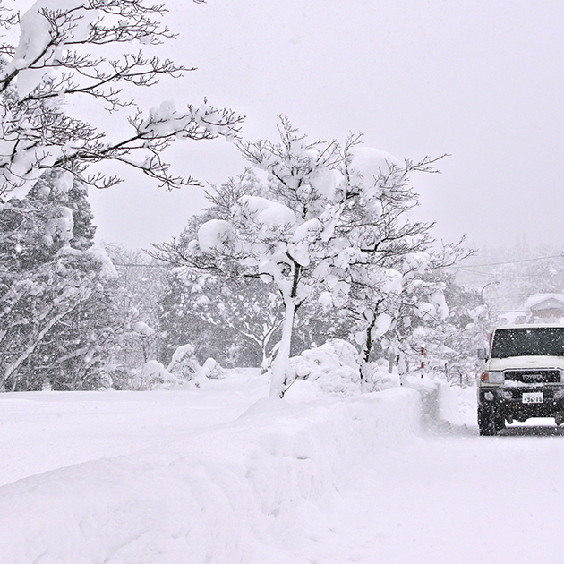 雪