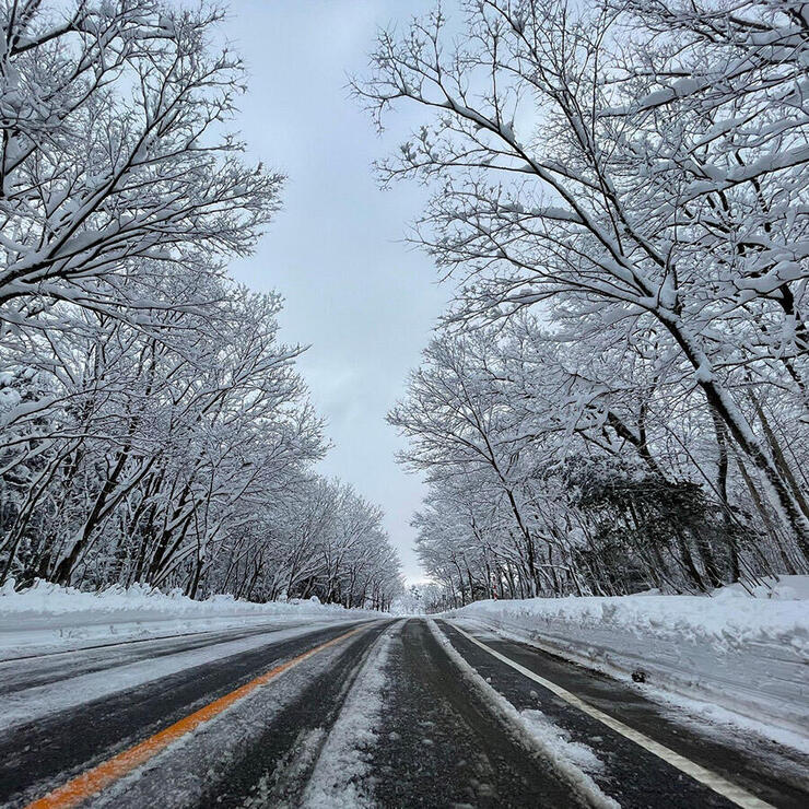 雪道